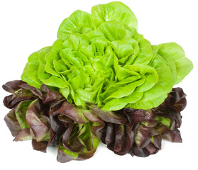 lettuce