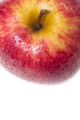 crop red apple