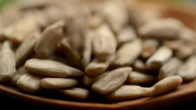 Sunflower seeds Semillas de girasol