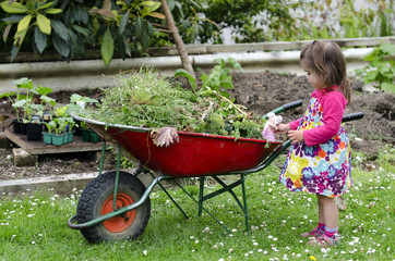Home gardening