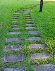The Stone block walk path in garden