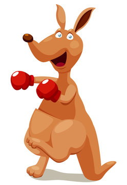 illustration of Kangaroo boxing cartoon