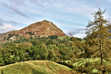 View of Helm Crag across a wooded landscape.