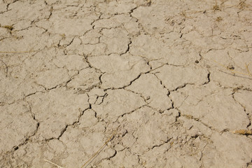 cracked clay ground into the dry season