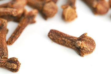 cloves against white background