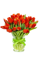 red tulips