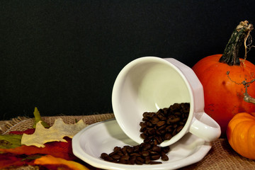 Making Pumpkin Coffee