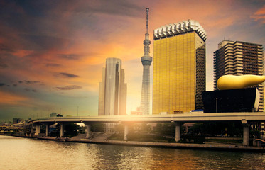 Naklejka premium Tokyo Skyline with Skytree