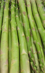 Asparagus on the white background