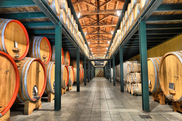 Casks in wine cellar
