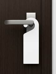 Poign&eacute;e de porte 1