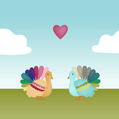 Love Turkeys
