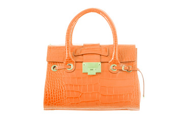 Elegant woman bag isolated on white