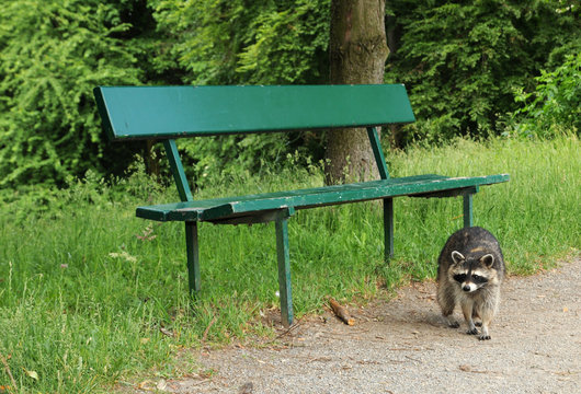 Im Park