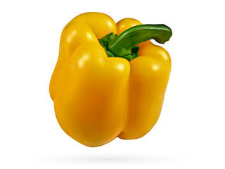 Bell pepper vector