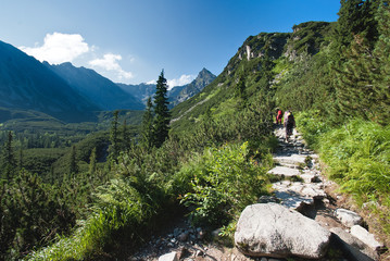 Tatry latem