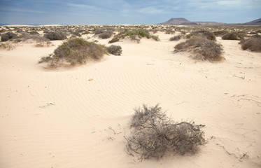 Fuerteventura, Corralejo sand dunes