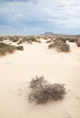 Fuerteventura, Corralejo sand dunes