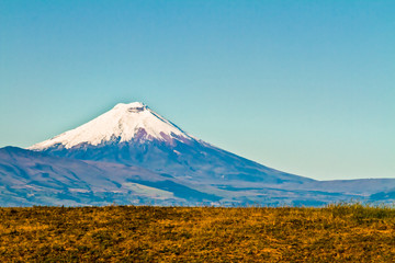 Fototapeta premium Cotopaxi volcano, Ecuador.