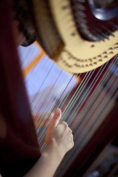 Harpe, harpiste, musique, musicien, instrument, main, corde