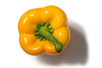 Gelbe Paprika