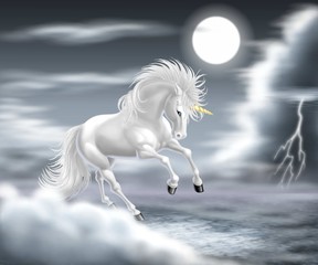 unicorno bianco temporale © Piumadaquila.it