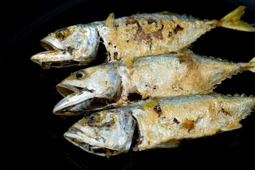 fried mackerel on black background