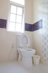 Home flush toilet