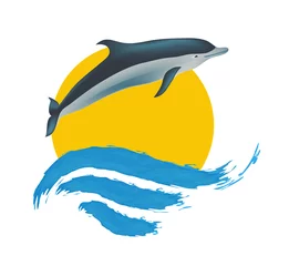 Fototapeten Delphinvektorillustration, lokalisiertes Logo auf Weiß © Vasily Merkushev