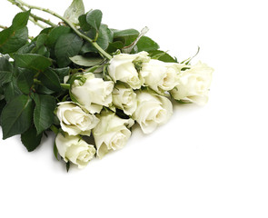 bunch of white roses