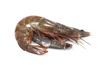crevette