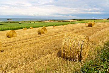 Straw Bales near the Sea in Normandy, France