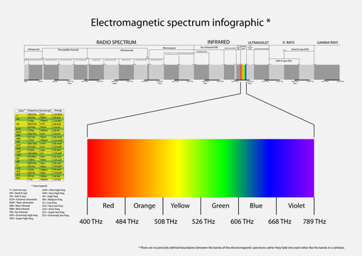 Vector infographic of electromagnetic spectrum