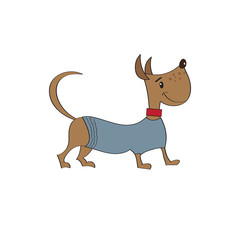 puppy dressed in fancy winter jacket