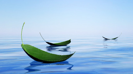 Green leaves floating on the water