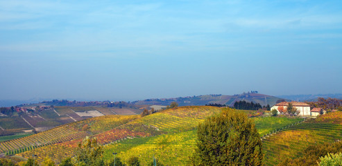 Autunno nelle Langhe