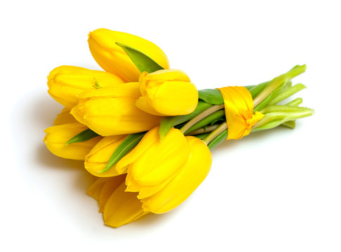 yellow tulips tied up with a ribbon