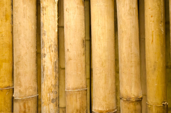 Closeup bamboo fence texture.