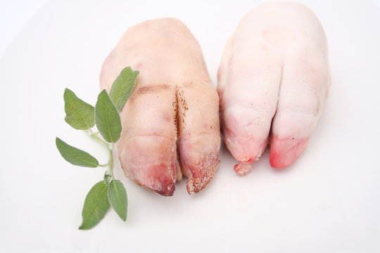 schweinef&uuml;sse