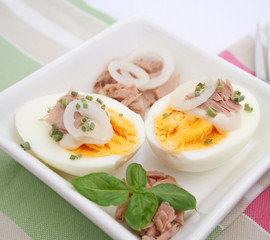 Ei mit Thunfisch
