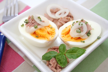 Ei mit Thunfisch