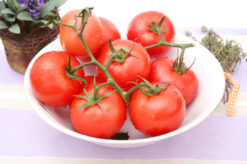 Tomaten
