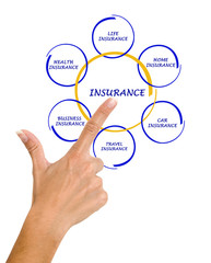 woman presenting insurance diagram
