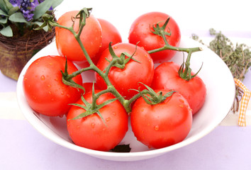 Tomaten