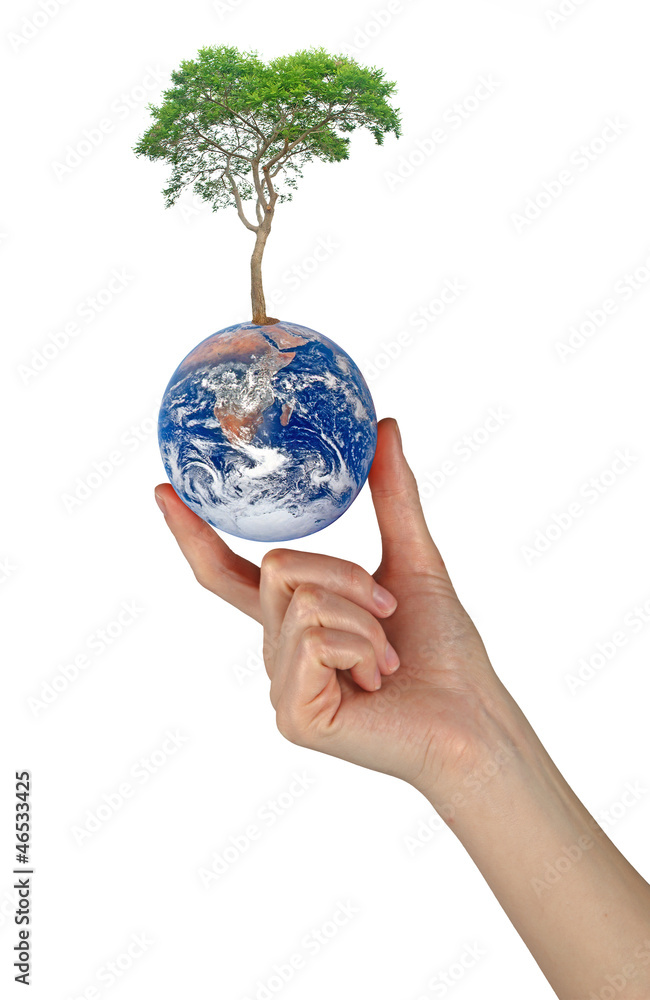 Wall mural tree on earth as a symbol of peace.elements of this image furnis