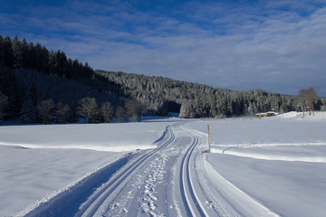 Fototapeta premium Black Forest under snow, Geramny