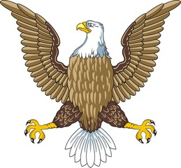American bald eagle Vector