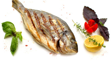 Grilled Gilt-head bream