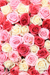 White and pink roses in arrangement