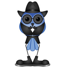 Comical suave sophisticated bird